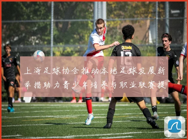 上海足球协会推动本地足球发展新举措助力青少年培养与职业联赛提升