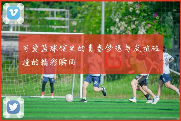 可爱篮球馆里的青春梦想与友谊碰撞的精彩瞬间