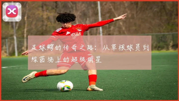 足球鳄的传奇之路：从草根球员到绿茵场上的超级明星