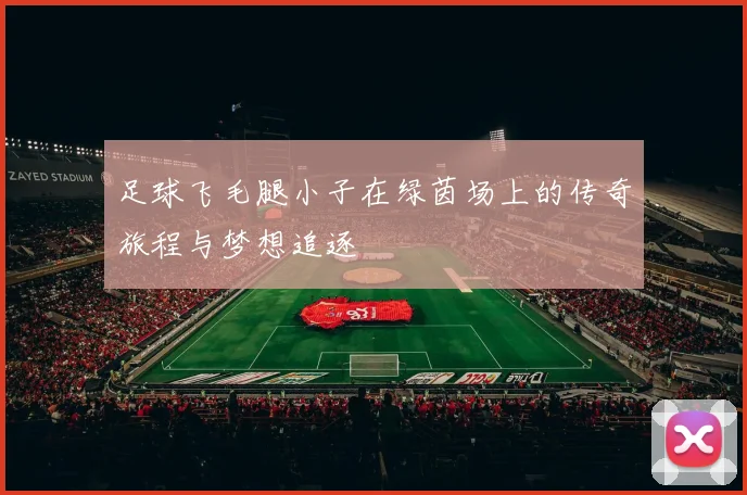 足球飞毛腿小子在绿茵场上的传奇旅程与梦想追逐