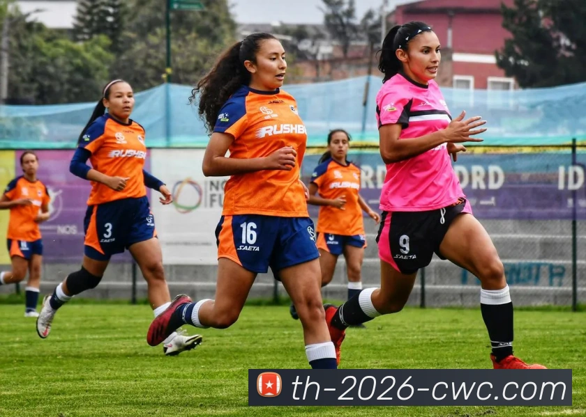 2026世界杯平台生态图