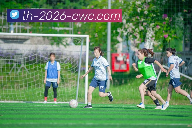 2026世界杯服务体系